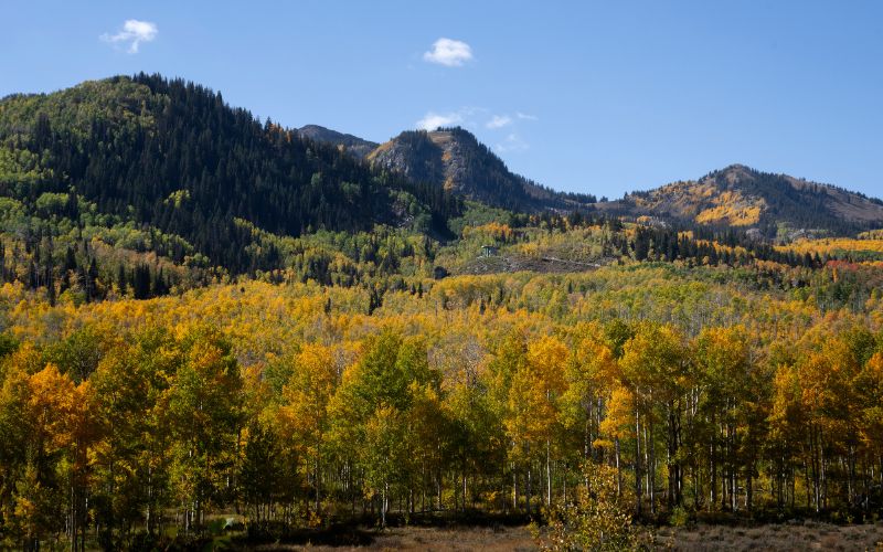 ecosistema biodiversidad